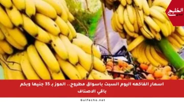 أسعار الفاكهة اليوم السبت بأسواق مطروح.. الموز بـ 35 جنيها وبكم باقي الأصناف